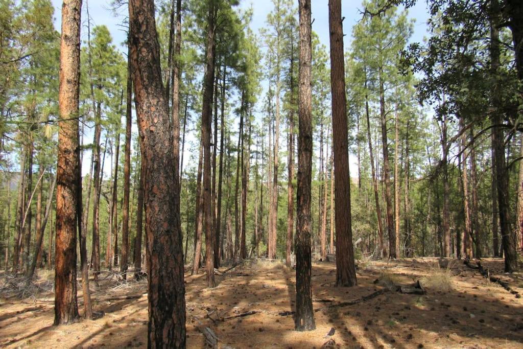 Forest Cabin 3 Bear'S Den Payson Εξωτερικό φωτογραφία