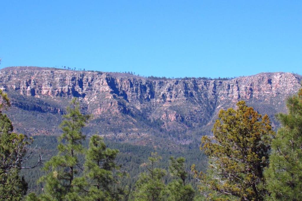 Forest Cabin 3 Bear'S Den Payson Εξωτερικό φωτογραφία